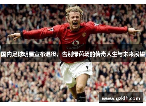 国内足球明星宣布退役，告别绿茵场的传奇人生与未来展望