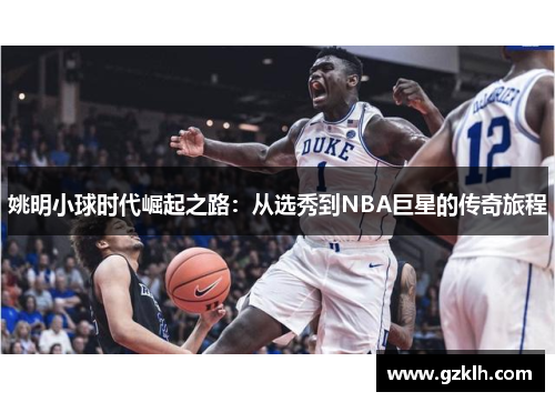 姚明小球时代崛起之路：从选秀到NBA巨星的传奇旅程